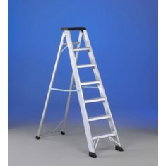 Marchepied professionnel simple P3 SVELT