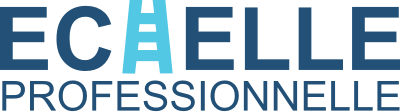 Echelle professionnelle